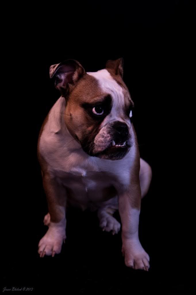 Ellie4_zps135c4d95.jpg