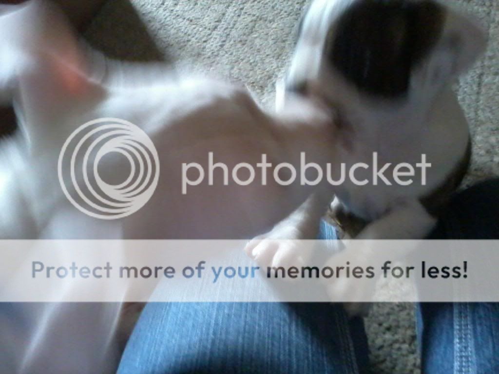 IMG_20130112_135125_zpsce4335e4.jpg