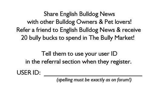 EnglishBulldogBCBACK.jpg