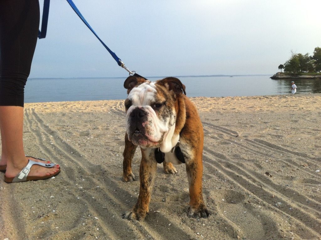 brembobeach2.jpg