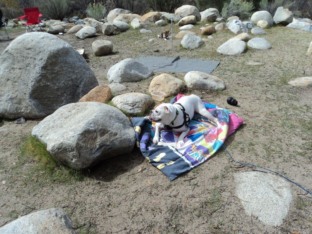 KernMarch2013035.jpg