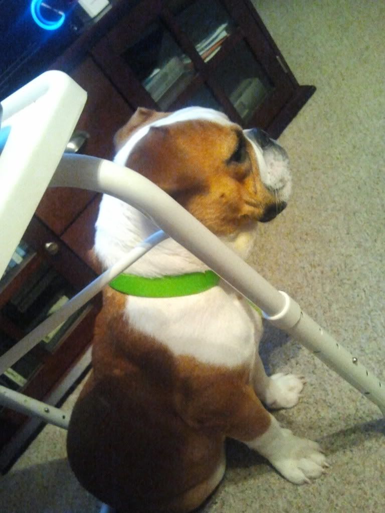 2011-10-04204015.jpg