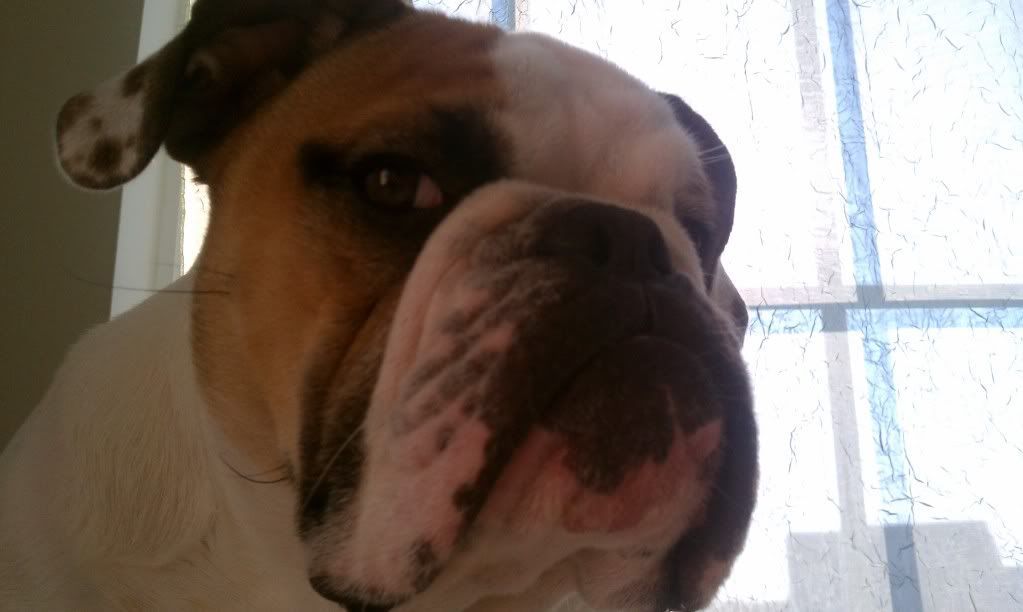 IMAG0381.jpg