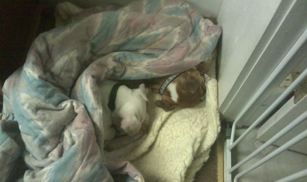 IMAG0324.jpg