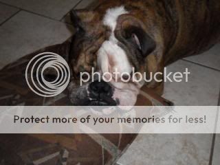 SAM_0393.jpg