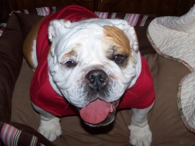 Ronan05-13-11058.jpg