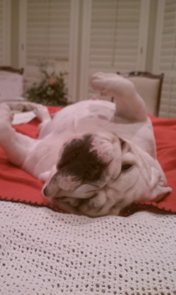 IMAG0092.jpg