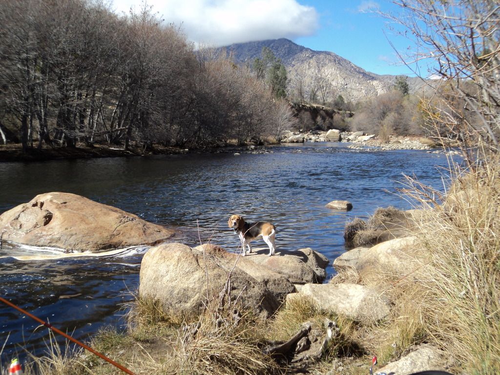KernMarch2013011.jpg