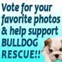 vote_support_rescue_90x90.jpg