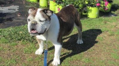 Winston-5.jpg