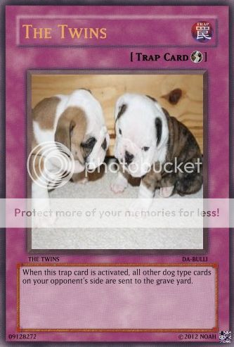 thetwinscard.jpg
