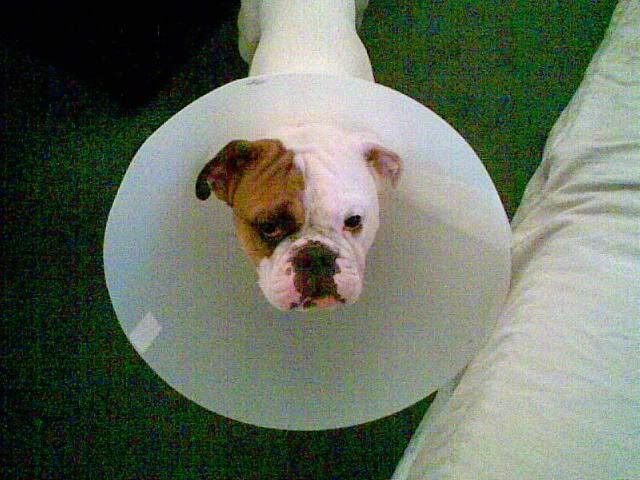 ConeHead.jpg