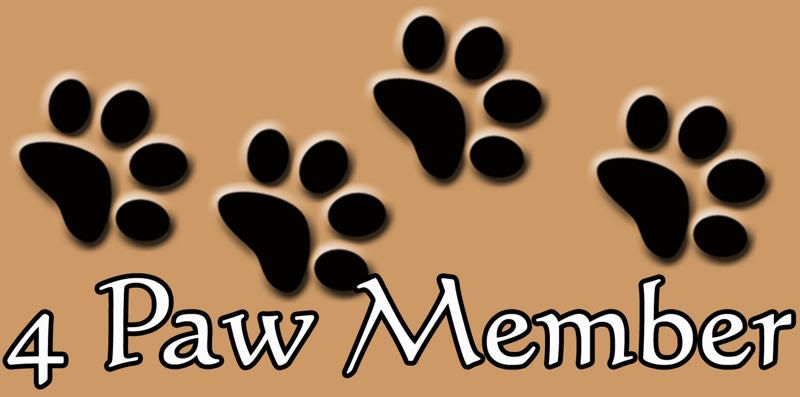 4PAW04.jpg