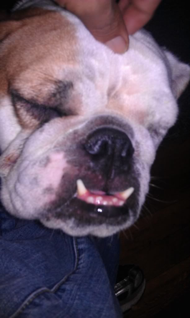 IMAG0523.jpg
