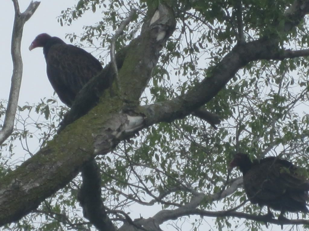 IMG_5592.jpg