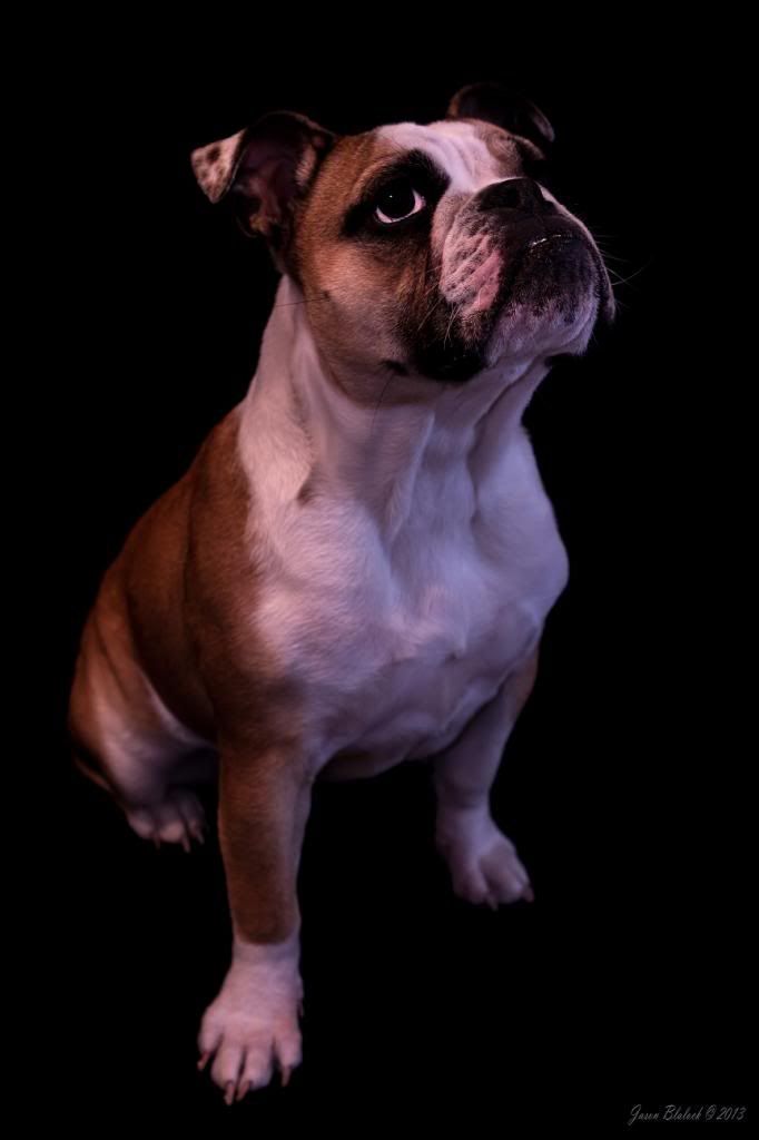 Ellie2_zpsb80b9b50.jpg