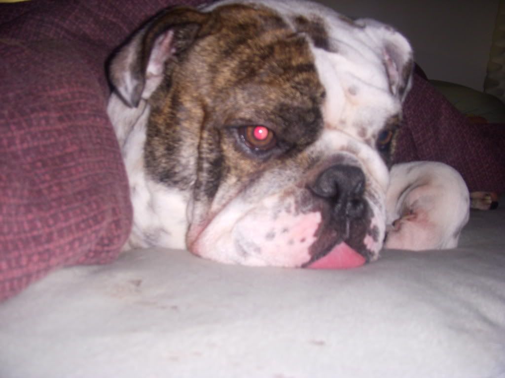 DSCN0300.jpg