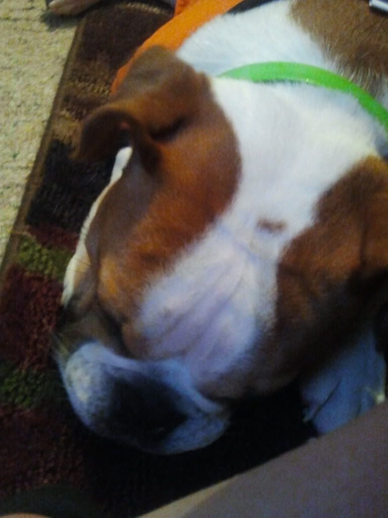 2011-10-04205034.jpg