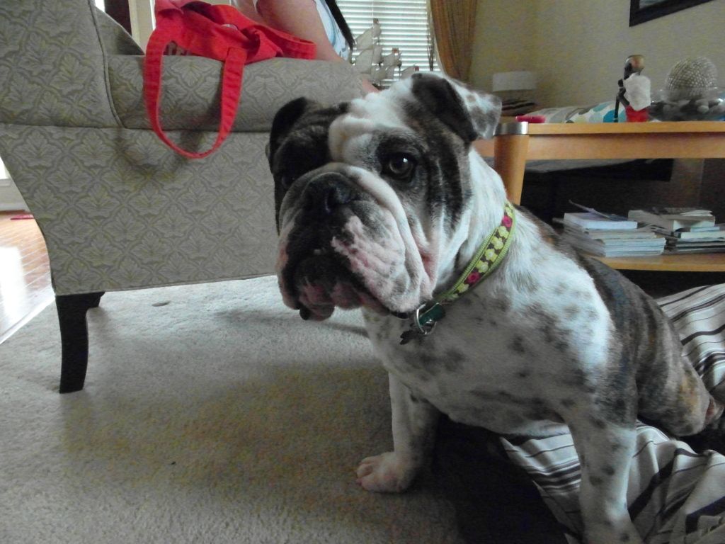 SAM_0384.jpg