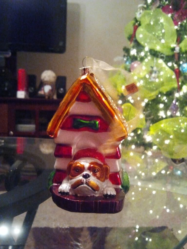 2011-11-25170137.jpg