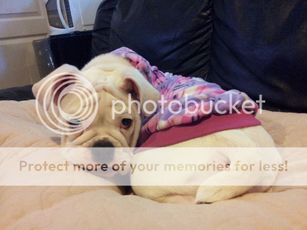 20111125_130046.jpg