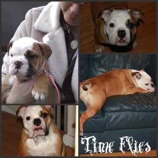 PicnikcollageBelly.jpg