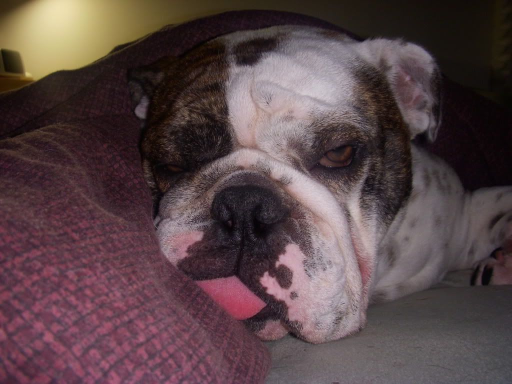 DSCN0302.jpg