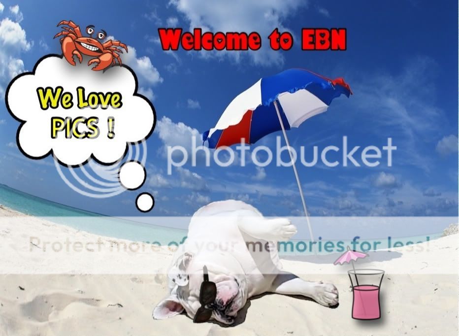 b847ad7c.jpg