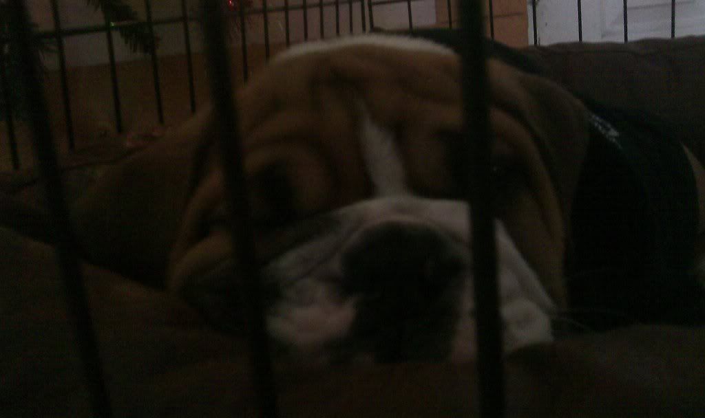IMAG0209.jpg