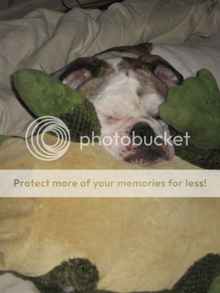 IMG_3134-Copy.jpg