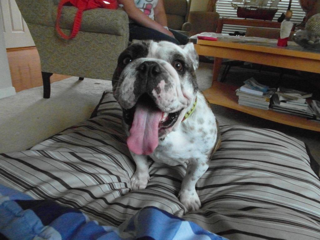 SAM_0380.jpg