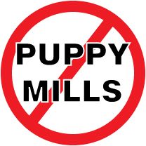 nopuppymills.jpg