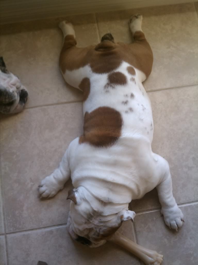 IMAG0131.jpg
