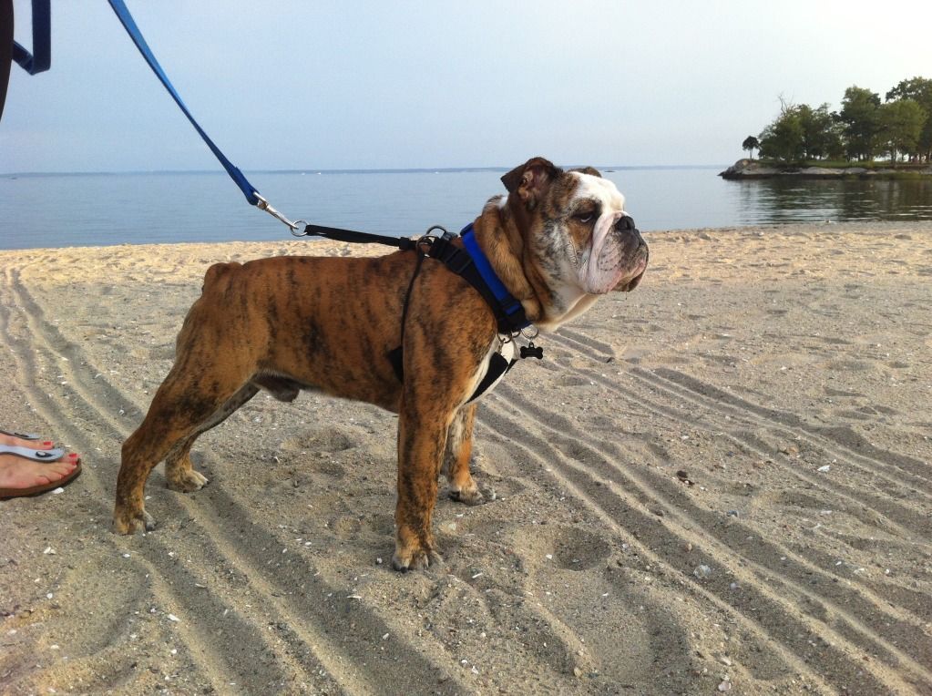 brembobeach1.jpg