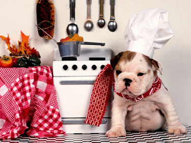 EnglishBulldogCooking.png