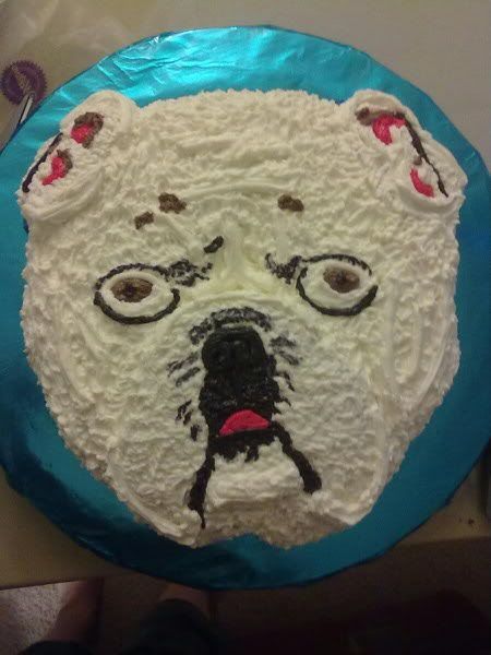 Mattscake003.jpg