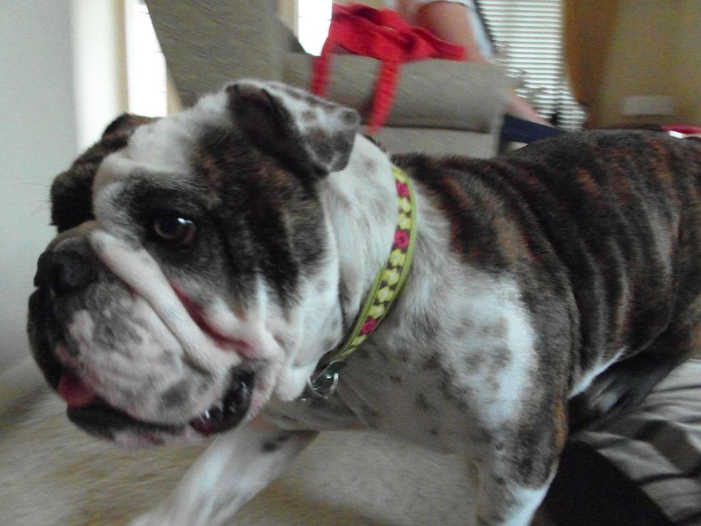 SAM_0385.jpg