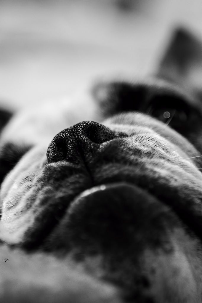 EllieMae6_zpsb5374acd.jpg