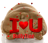 bullytine2013.png