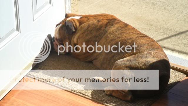 LaundryroomVegassunning020.jpg