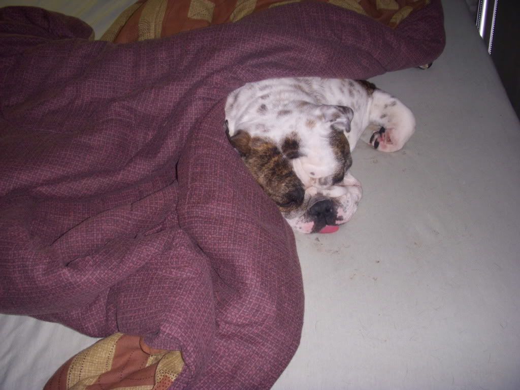 DSCN0305.jpg
