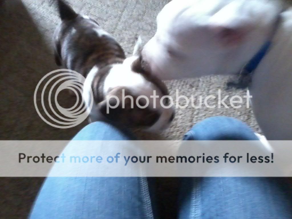 IMG_20130112_135052_zpsb4c53c8b.jpg