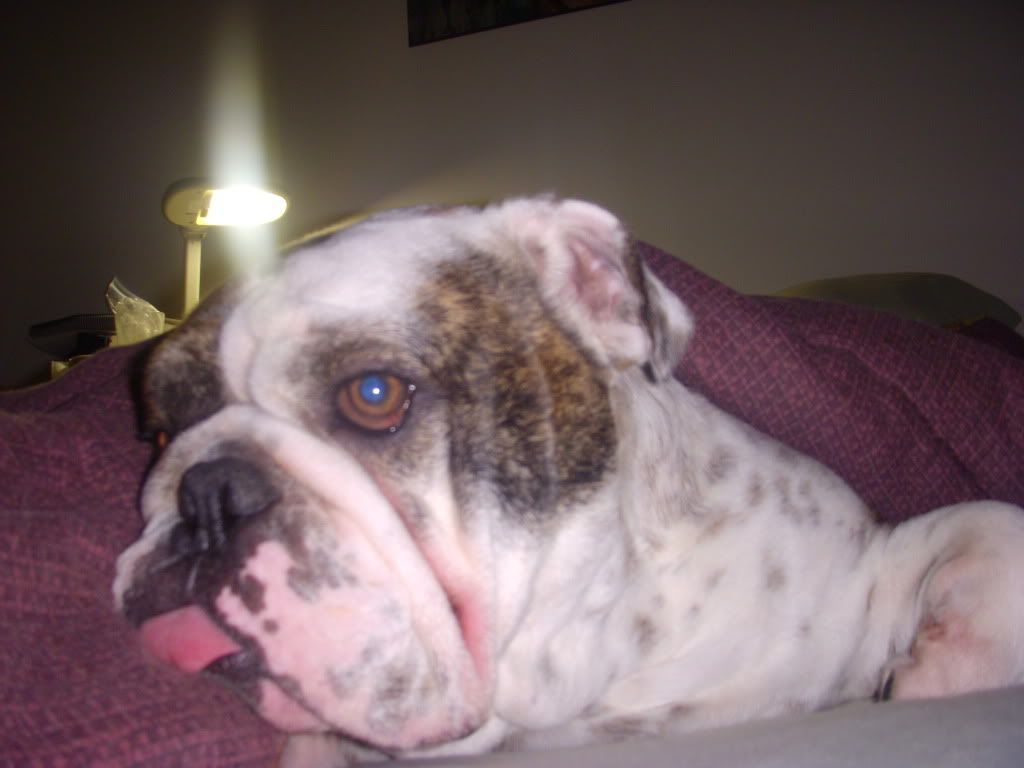 DSCN0301.jpg