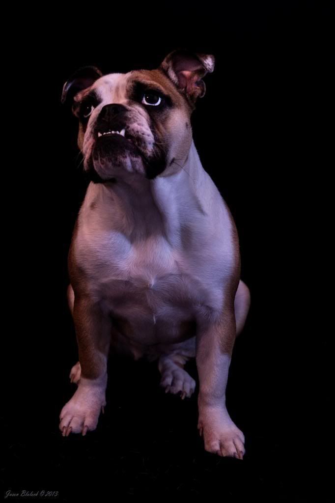 Ellie5_zps7a1e6a88.jpg