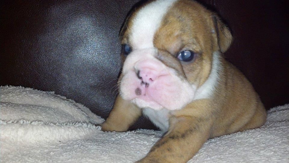 MadeaM1-3wks4.jpg