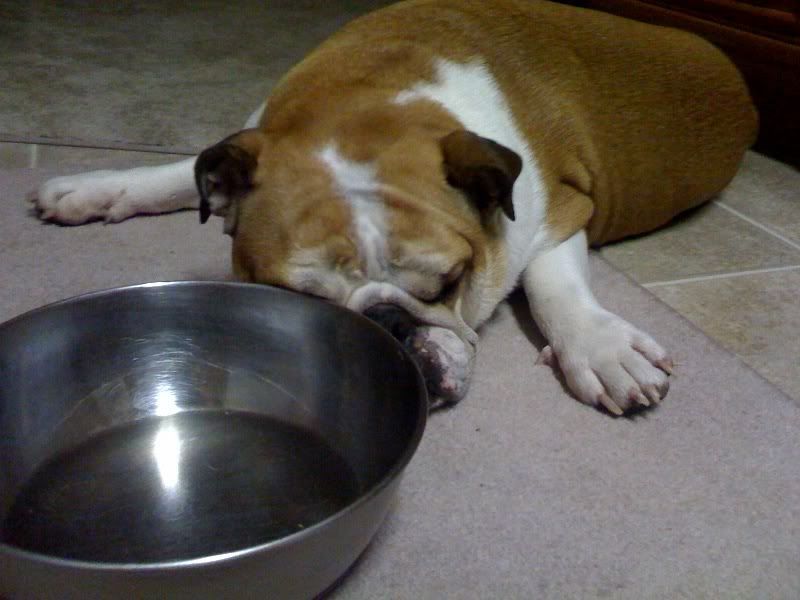 photo-1.jpg