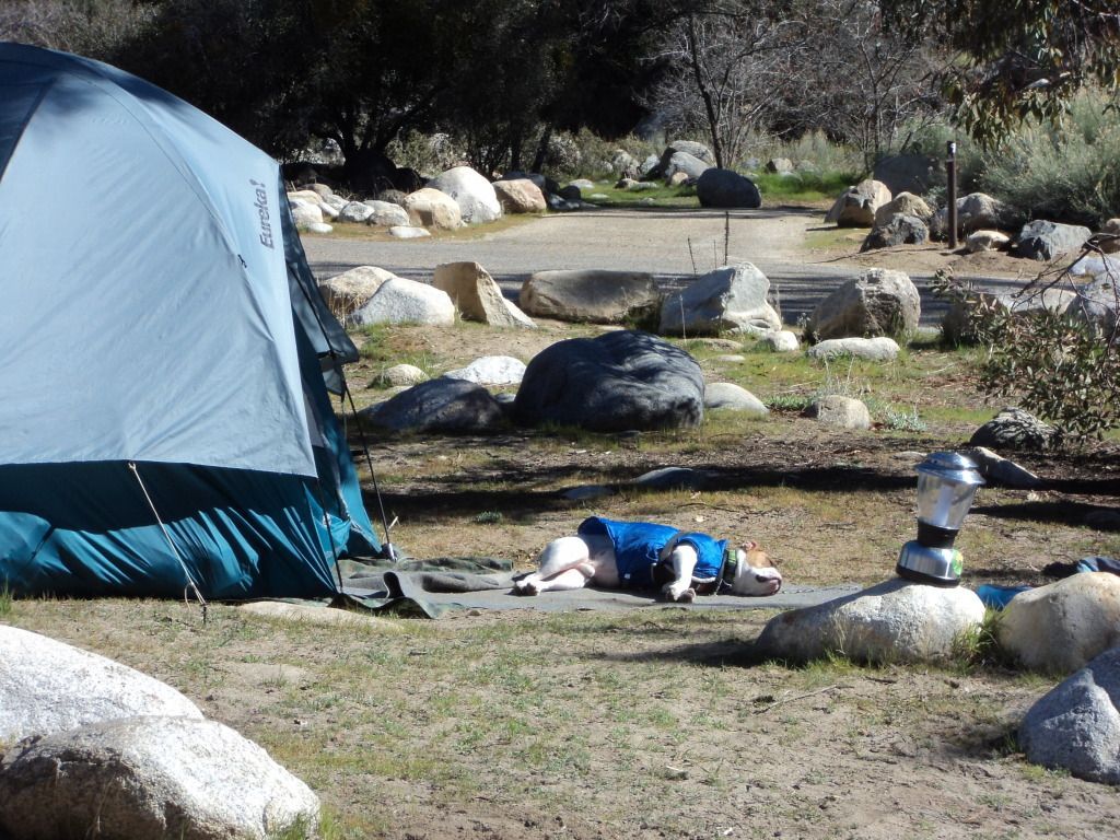 KernMarch2013029.jpg
