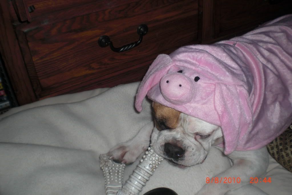 MyLittlePig003.jpg