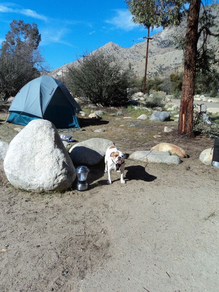 KernMarch2013022.jpg
