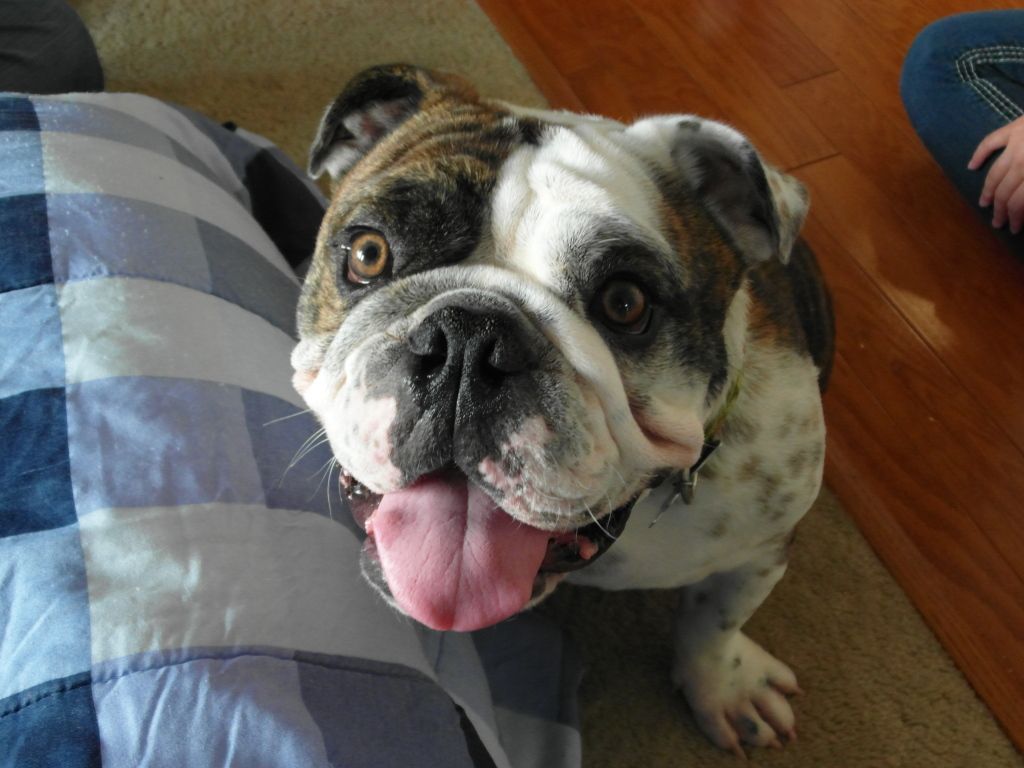 SAM_0435.jpg
